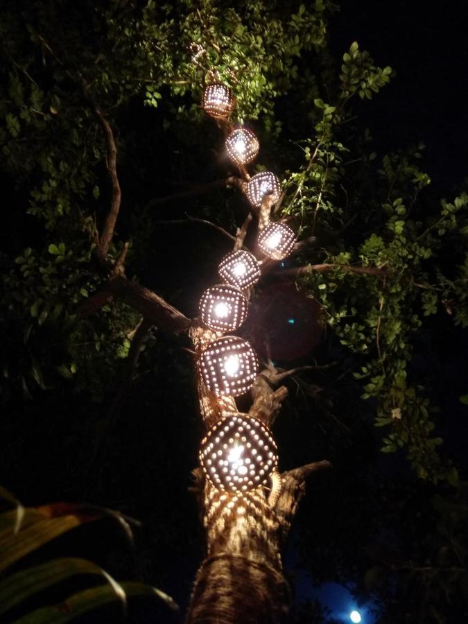 Homestays Ludhiana Exteriör bild