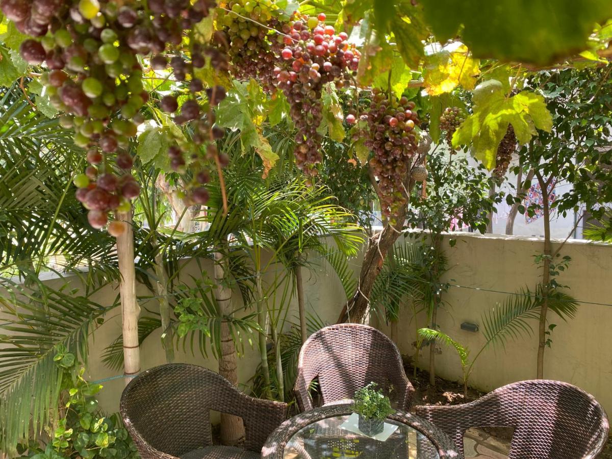 Homestays Ludhiana Exteriör bild